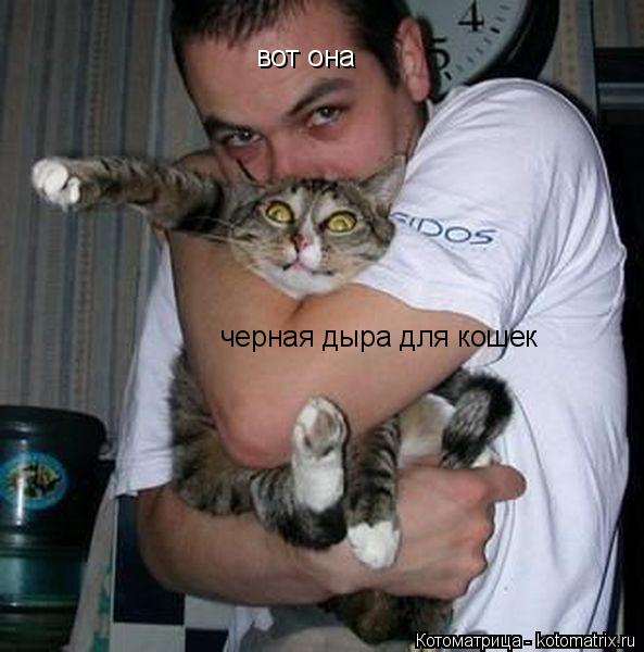 вот она черная дыра для кошек... Котоматрица: вот она черная дыра для кошек