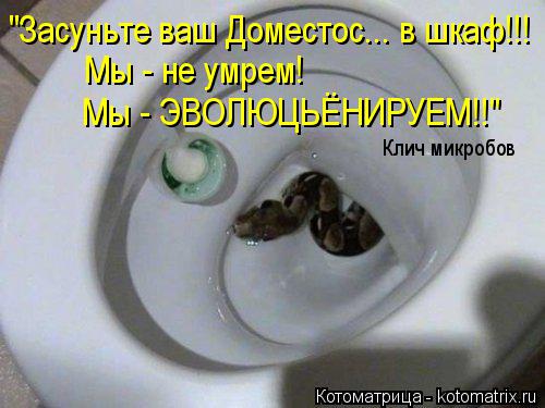 Котоматрица: "Засуньте ваш Доместос... в шкаф!!! Мы - не умрем! Мы - ЭВОЛЮЦЬЁНИРУЕМ!!" Клич микробов