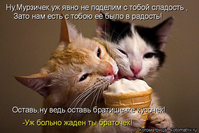 Ну,Мурзичек,уж явно не поделим с тобой сладость , Зато нам есть с тобою её было в радость! Оставь,ну ... Котоматрица: Ну,Мурзичек,уж явно не поделим с тобой сладость , Зато нам есть с тобою её было в радость! Оставь,ну ведь оставь братишечке кусочек! -Уж больн