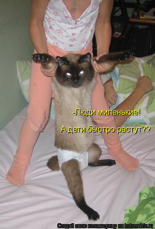 А дети быстро растут?? -Люди миленькие!... Котоматрица: А дети быстро растут?? -Люди миленькие!