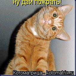 Котоматрица: ну дай пожрать!
