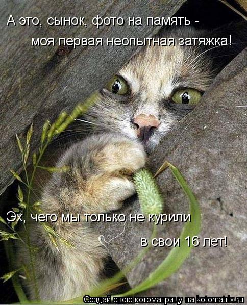 А это, сынок, фото на память - моя первая неопытная затяжка! Эх, чего мы только не курили в свои 16... Котоматрица: А это, сынок, фото на память - моя первая неопытная затяжка! Эх, чего мы только не курили в свои 16 лет!