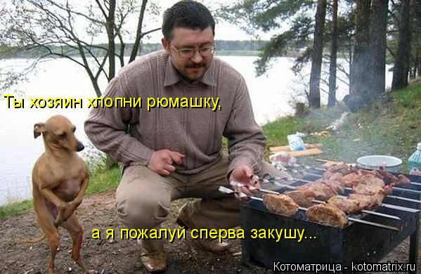 Котоматрица: Ты хозяин хлопни рюмашку, а я пожалуй сперва закушу...