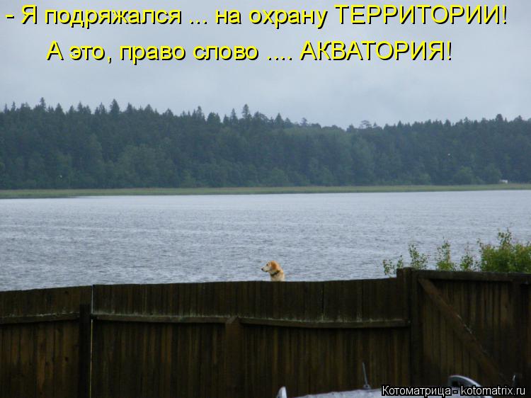 - Я подряжался ... на охрану ТЕРРИТОРИИ! А это, право слово .... АКВАТОРИЯ!... Котоматрица: - Я подряжался ... на охрану ТЕРРИТОРИИ! А это, право слово .... АКВАТОРИЯ!