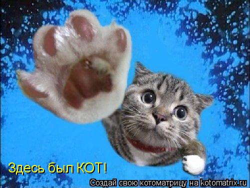 Котоматрица: Здесь был КОТ!