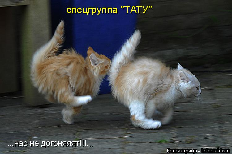 Котоматрица: ...нас не догоняяят!!!... спецгруппа "ТАТУ"