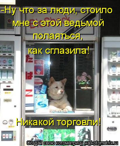 -Ну что за люди, стоило мне с этой ведьмой полаяться, как сглазила! Никакой торговли!... Котоматрица: -Ну что за люди, стоило мне с этой ведьмой полаяться, как сглазила! Никакой торговли!