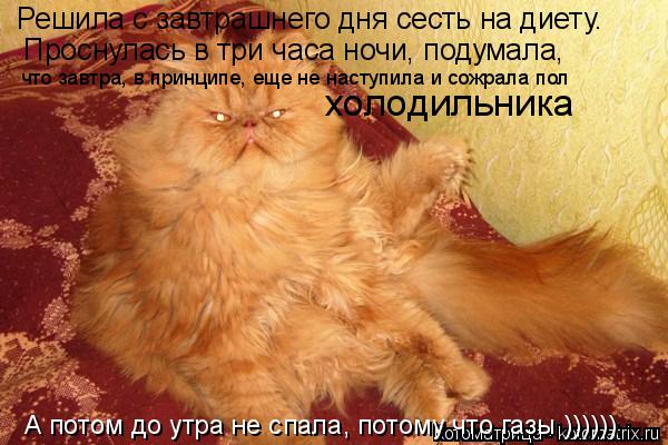 Решила с завтрашнего дня сесть на диету. Проснулась в три часа ночи, подумала, что завтра, в принципе... Котоматрица: Решила с завтрашнего дня сесть на диету. Проснулась в три часа ночи, подумала, что завтра, в принципе, еще не наступила и сожрала пол холодил