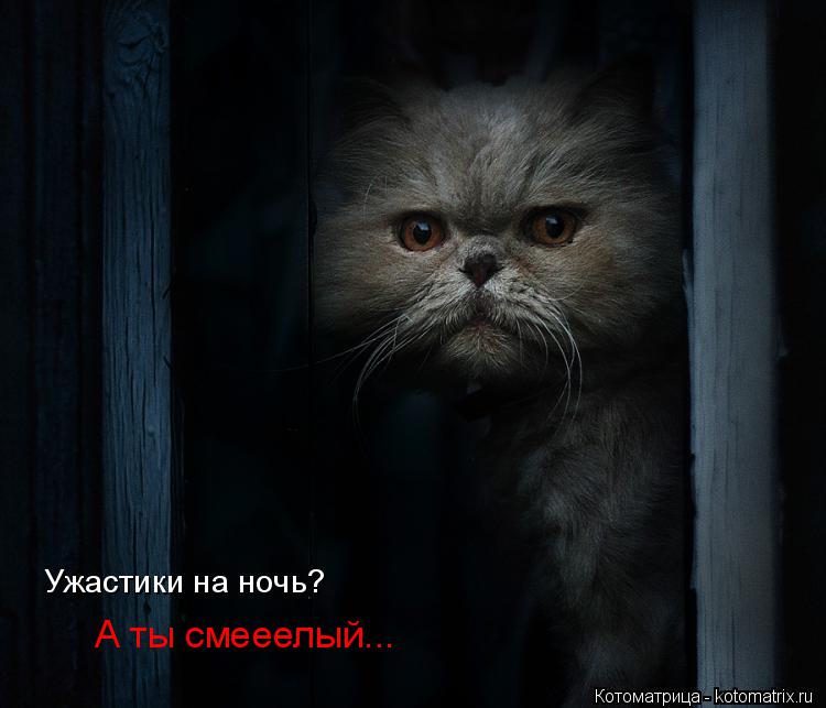 Котоматрица: Ужастики на ночь? А ты смееелый...