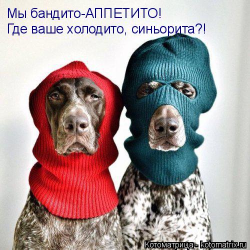 Мы бандито-АППЕТИТО! Где ваше холодито, синьорита?!... Котоматрица: Мы бандито-АППЕТИТО! Где ваше холодито, синьорита?!