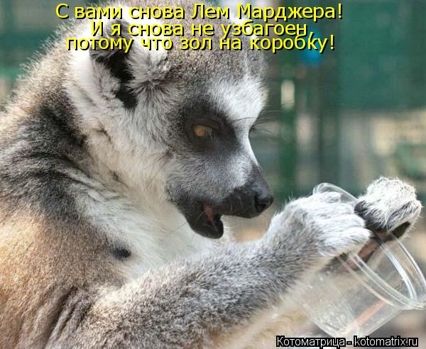 С вами снова Лем Марджера! И я снова не узбагоен, потому что зол на коробку! С вами снова Лем Марджер... Котоматрица: С вами снова Лем Марджера! И я снова не узбагоен, потому что зол на коробку! С вами снова Лем Марджера! И я снова не узбагоен, потому что зол н