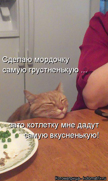 Сделаю мордочку самую грустненькую ... зато котлетку мне дадут самую вкусненькую!... Котоматрица: Сделаю мордочку самую грустненькую ... зато котлетку мне дадут самую вкусненькую!