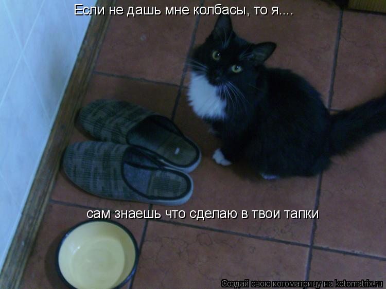 Если не дашь мне колбасы, то я.... сам знаешь что сделаю в твои тапки... Котоматрица: Если не дашь мне колбасы, то я.... сам знаешь что сделаю в твои тапки