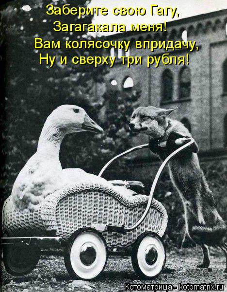 Заберите свою Гагу, Загагакала меня! Вам колясочку впридачу, Ну и сверху три рубля!... Котоматрица: Заберите свою Гагу, Загагакала меня! Вам колясочку впридачу, Ну и сверху три рубля!