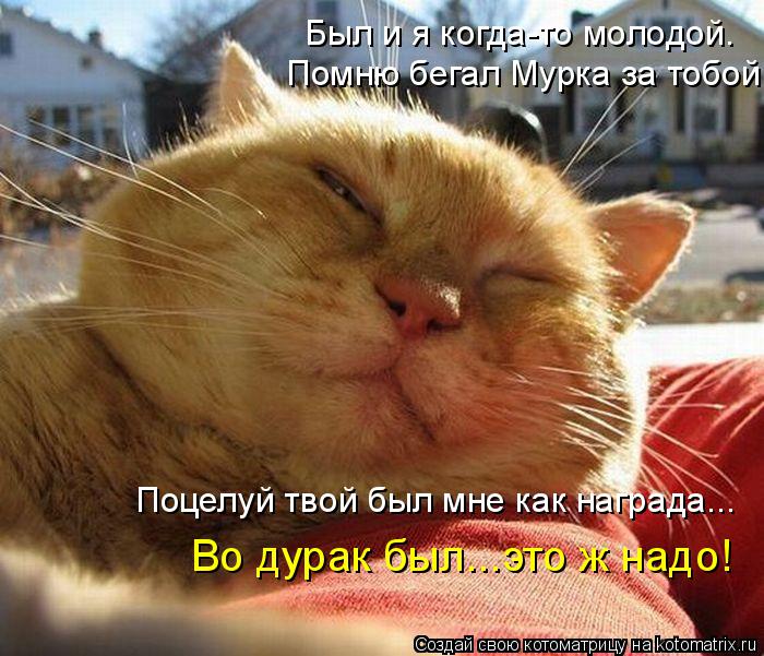 Был и я когда-то молодой. Помню бегал Мурка за тобой. Поцелуй твой был мне как награда... Во дурак бы... Котоматрица: Был и я когда-то молодой. Помню бегал Мурка за тобой. Поцелуй твой был мне как награда... Во дурак был...это ж надо!