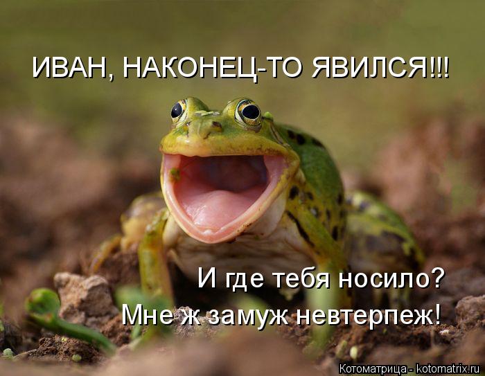 ИВАН, НАКОНЕЦ-ТО ЯВИЛСЯ!!! И где тебя носило? Мне ж замуж невтерпеж!... Котоматрица: ИВАН, НАКОНЕЦ-ТО ЯВИЛСЯ!!! И где тебя носило? Мне ж замуж невтерпеж!