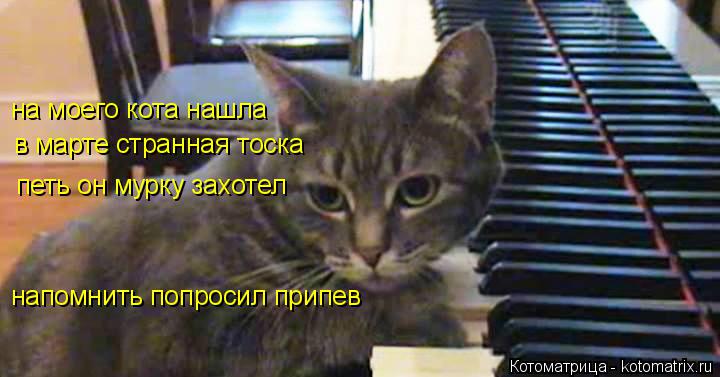 на моего кота нашла в марте странная тоска петь он мурку захотел напомнить попросил припев... Котоматрица: на моего кота нашла в марте странная тоска петь он мурку захотел напомнить попросил припев
