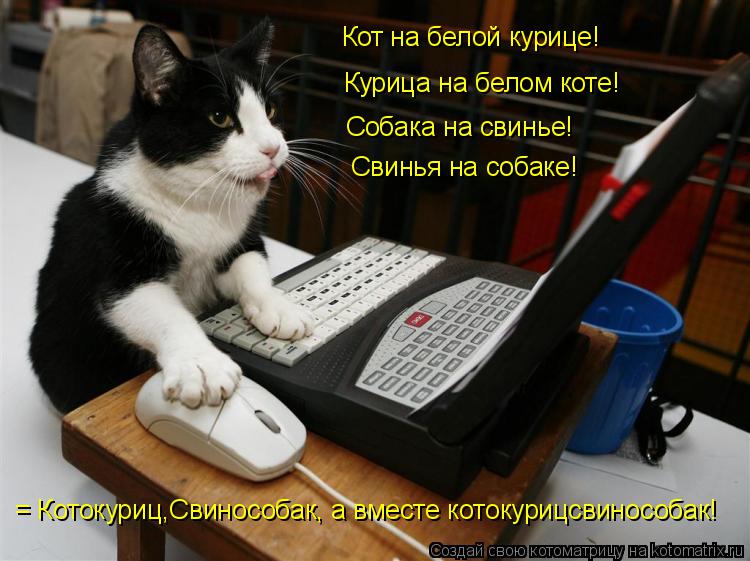 Кот на белой курице! Курица на белом коте! Собака на свинье! Свинья на собаке! = Котокуриц,Свинособак... Котоматрица: Кот на белой курице! Курица на белом коте! Собака на свинье! Свинья на собаке! = Котокуриц,Свинособак, а вместе котокурицсвинособак!