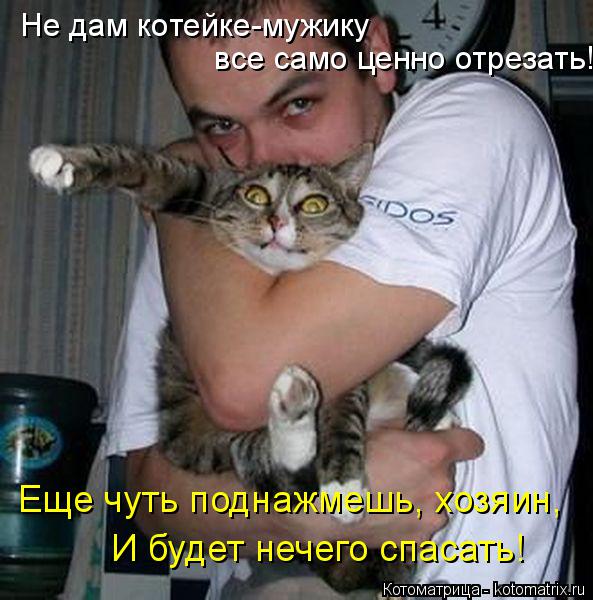 Не дам котейке-мужику все само ценно отрезать! Еще чуть поднажмешь, хозяин, И будет нечего спасать!... Котоматрица: Не дам котейке-мужику все само ценно отрезать! Еще чуть поднажмешь, хозяин, И будет нечего спасать!