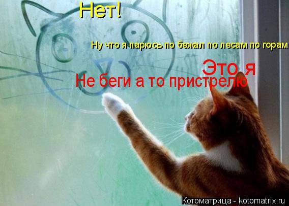 Это я Нет! Ну что я парюсь по бежал по лесам по горам Не беги а то пристрелю... Котоматрица: Это я Нет! Ну что я парюсь по бежал по лесам по горам Не беги а то пристрелю