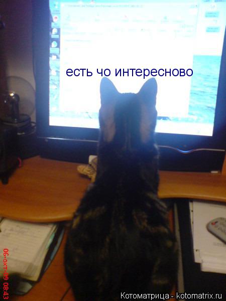 есть чо интересново... Котоматрица: есть чо интересново