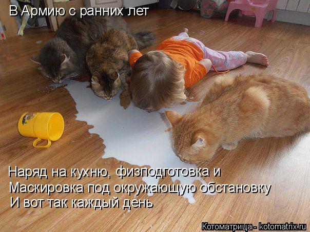 В Армию с ранних лет Наряд на кухню, физподготовка и Маскировка под окружающую обстановку И вот так к... Котоматрица: В Армию с ранних лет Наряд на кухню, физподготовка и Маскировка под окружающую обстановку И вот так каждый день