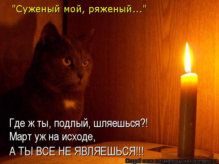 Где ж ты, подлый, шляешься?! Март уж на исходе, А ТЫ ВСЕ НЕ ЯВЛЯЕШЬСЯ!!! "Суженый мой, ряженый..."... Котоматрица: Где ж ты, подлый, шляешься?! Март уж на исходе, А ТЫ ВСЕ НЕ ЯВЛЯЕШЬСЯ!!! "Суженый мой, ряженый..."