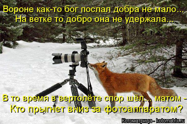 Вороне как-то бог послал добра не мало... На ветке то добро она не удержала... В то время в вертолёте... Котоматрица: Вороне как-то бог послал добра не мало... На ветке то добро она не удержала... В то время в вертолёте спор шёл... матом - Кто прыгнет вниз за фото