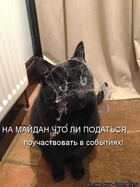 НА МАЙДАН ЧТО ЛИ ПОДАТЬСЯ ... поучаствовать в событиях!... Котоматрица: НА МАЙДАН ЧТО ЛИ ПОДАТЬСЯ ... поучаствовать в событиях!