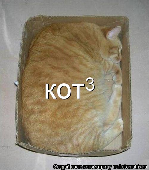 кот 3... Котоматрица: кот 3