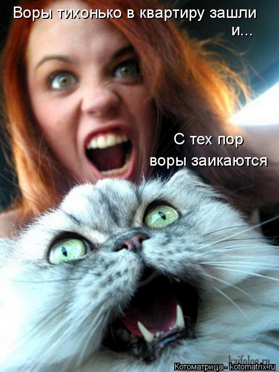 С тех пор воры заикаются Воры тихонько в квартиру зашли и...... Котоматрица: С тех пор воры заикаются Воры тихонько в квартиру зашли и...