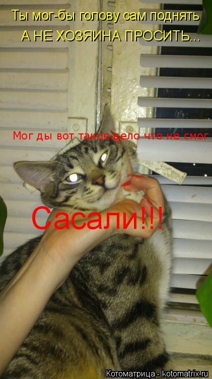 Ты мог-бы голову сам поднять А НЕ ХОЗЯИНА ПРОСИТЬ... Мог ды вот такое дело что не смог Сасали!!!... Котоматрица: Ты мог-бы голову сам поднять А НЕ ХОЗЯИНА ПРОСИТЬ... Мог ды вот такое дело что не смог Сасали!!!