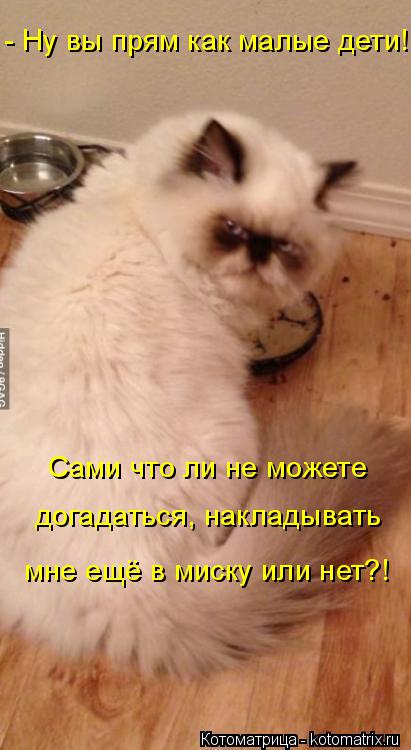 - Ну вы прям как малые дети! Сами что ли не можете догадаться, накладывать мне ещё в миску или нет?... Котоматрица: - Ну вы прям как малые дети! Сами что ли не можете догадаться, накладывать мне ещё в миску или нет?!