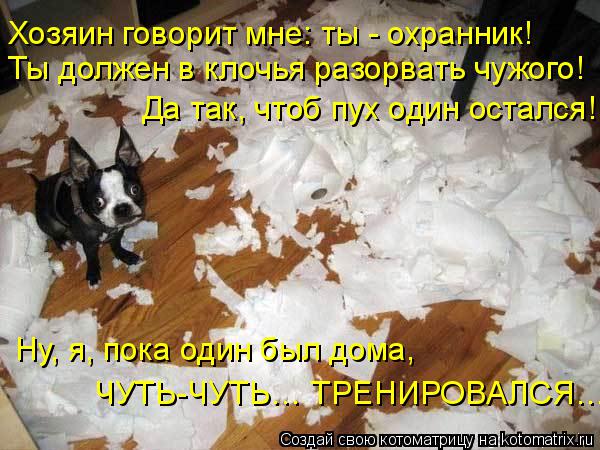 Ты должен в клочья разорвать чужого! Хозяин говорит мне: ты - охранник! Да так, чтоб пух один остался... Котоматрица: Ты должен в клочья разорвать чужого! Хозяин говорит мне: ты - охранник! Да так, чтоб пух один остался! Ну, я, пока один был дома, ЧУТЬ-ЧУТЬ… ТРЕ
