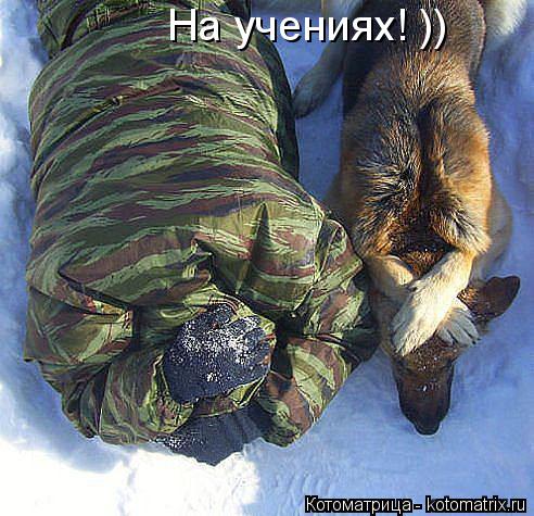 На учениях! ))... Котоматрица: На учениях! ))