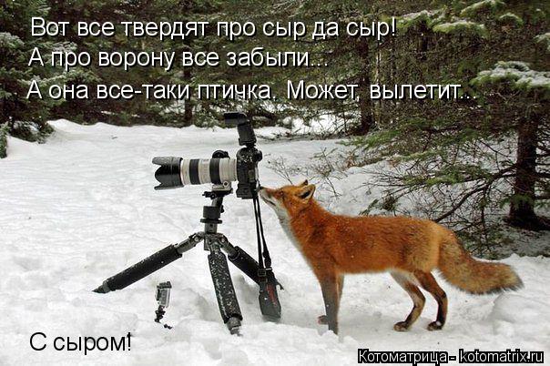 Вот все твердят про сыр да сыр! А про ворону все забыли... А она все-таки птичка. Может, вылетит... С... Котоматрица: Вот все твердят про сыр да сыр! А про ворону все забыли... А она все-таки птичка. Может, вылетит... С сыром!
