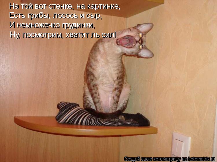 На той вот стенке, на картинке, Есть грибы, лосось и сыр, И немножечко грудинки, Ну, посмотрим, хв... Котоматрица: На той вот стенке, на картинке, Есть грибы, лосось и сыр, И немножечко грудинки, Ну, посмотрим, хватит ль сил!