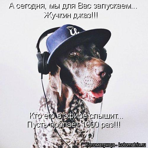 А сегодня, мы для Вас запускаем... Жучкин джаз!!! Кто его в эфире слышит... Пусть пролает 1000 раз!!!... Котоматрица: А сегодня, мы для Вас запускаем... Жучкин джаз!!! Кто его в эфире слышит... Пусть пролает 1000 раз!!!