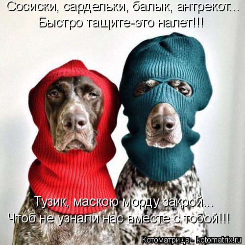 Сосиски, сардельки, балык, антрекот... Быстро тащите-это налет!!! Чтоб не узнали нас вместе с тобой!!... Котоматрица: Сосиски, сардельки, балык, антрекот... Быстро тащите-это налет!!! Чтоб не узнали нас вместе с тобой!!! Тузик, маскою морду закрой...