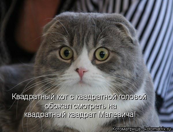 Квадратный кот с квадратной головой обожал смотреть на квадратный квадрат Малевича!... Котоматрица: Квадратный кот с квадратной головой обожал смотреть на квадратный квадрат Малевича!