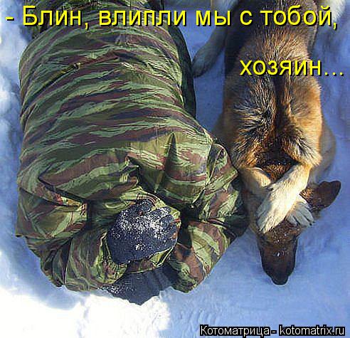 - Блин, влипли мы с тобой, - Блин, влипли мы с тобой, хозяин...... Котоматрица: - Блин, влипли мы с тобой, - Блин, влипли мы с тобой, хозяин...