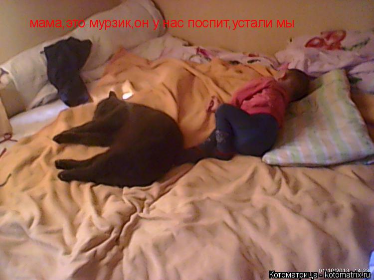 мама,это мурзик,он у нас поспит,устали мы... Котоматрица: мама,это мурзик,он у нас поспит,устали мы