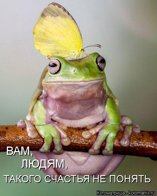 ВАМ, ЛЮДЯМ, ТАКОГО СЧАСТЬЯ НЕ ПОНЯТЬ... Котоматрица: ВАМ, ЛЮДЯМ, ТАКОГО СЧАСТЬЯ НЕ ПОНЯТЬ