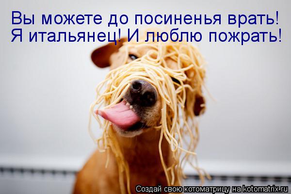 Я итальянец! И люблю пожрать! Вы можете до посиненья врать!... Котоматрица: Я итальянец! И люблю пожрать! Вы можете до посиненья врать!