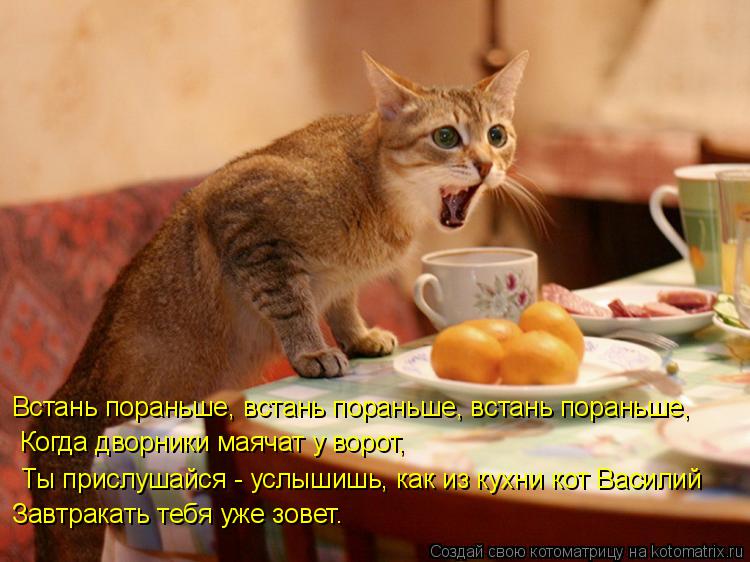 Встань пораньше, встань пораньше, встань пораньше, Когда дворники маячат у ворот, Ты прислушайся - ус... Котоматрица: Встань пораньше, встань пораньше, встань пораньше, Когда дворники маячат у ворот, Ты прислушайся - услышишь, как из кухни кот Василий Завтра
