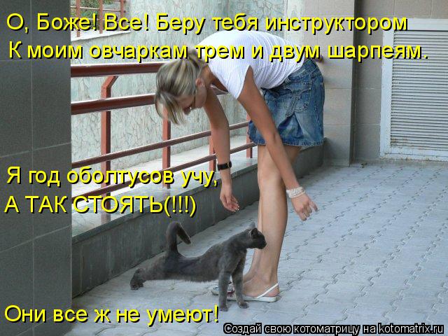 О, Боже! Все! Беру тебя инструктором К моим овчаркам трем и двум шарпеям. Они все ж не умеют! А ТАК С... Котоматрица: О, Боже! Все! Беру тебя инструктором К моим овчаркам трем и двум шарпеям. Они все ж не умеют! А ТАК СТОЯТЬ(!!!) Я год оболтусов учу,