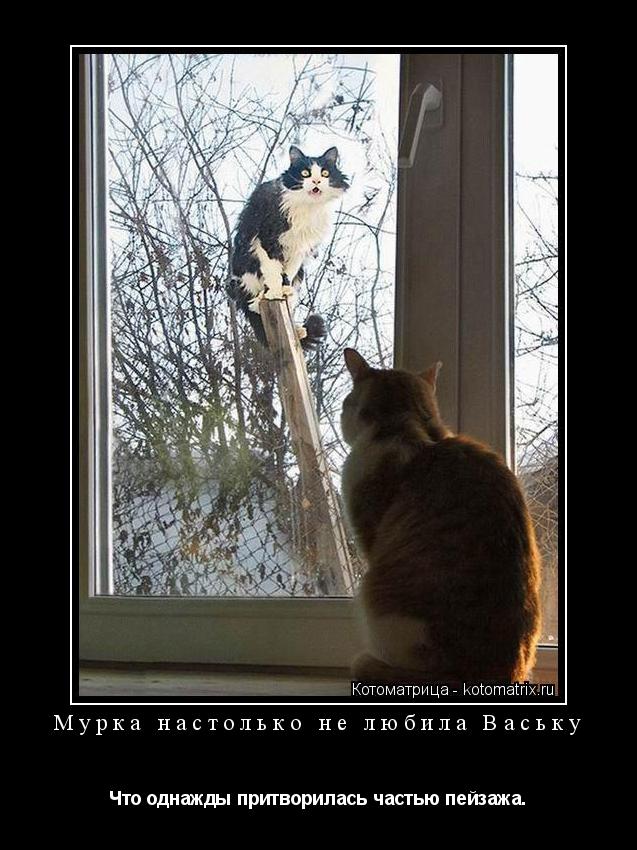 Мурка настолько не любила Ваську Что однажды притворилась частью пейзажа.... Котоматрица: Мурка настолько не любила Ваську Что однажды притворилась частью пейзажа.