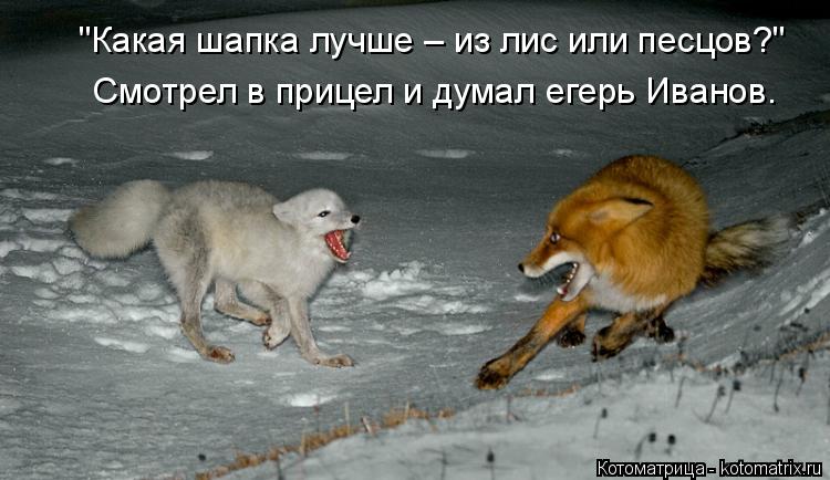 "Какая шапка лучше – из лис или песцов?" Смотрел в прицел и думал егерь Иванов.... Котоматрица: "Какая шапка лучше – из лис или песцов?" Смотрел в прицел и думал егерь Иванов.