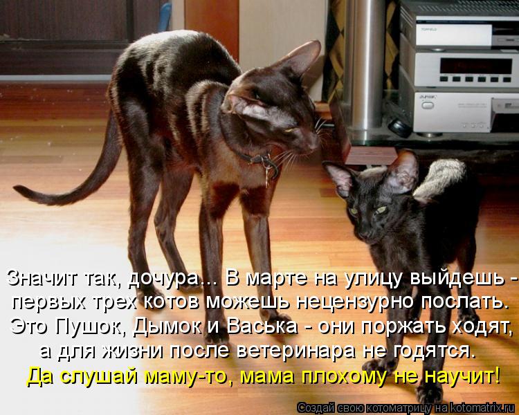 Значит так, дочура... В марте на улицу выйдешь - первых трех котов можешь нецензурно послать. Это Пуш... Котоматрица: Значит так, дочура... В марте на улицу выйдешь - первых трех котов можешь нецензурно послать. Это Пушок, Дымок и Васька - они поржать ходят, а д
