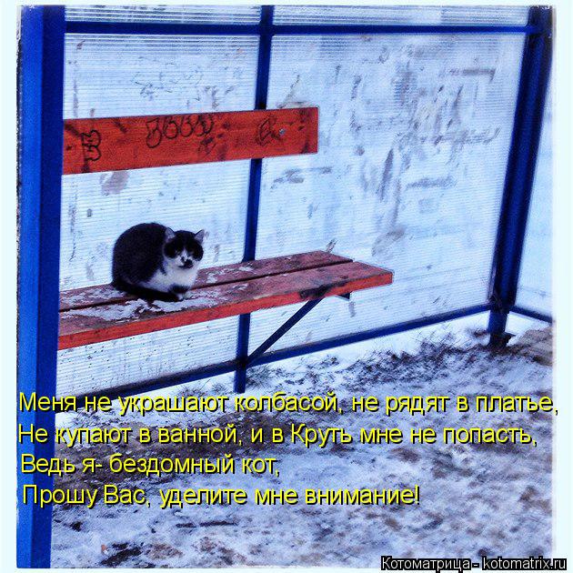 Меня не украшают колбасой, не рядят в платье, Не купают в ванной, и в Круть мне не попасть, Ведь я- б... Котоматрица: Меня не украшают колбасой, не рядят в платье, Не купают в ванной, и в Круть мне не попасть, Ведь я- бездомный кот, Прошу Вас, уделите мне вниман